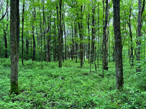 10.2 Acres of Recreational Land for Sale in German Town, New York