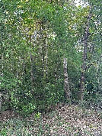 5 Acres of Land for Sale in Clermont, Florida