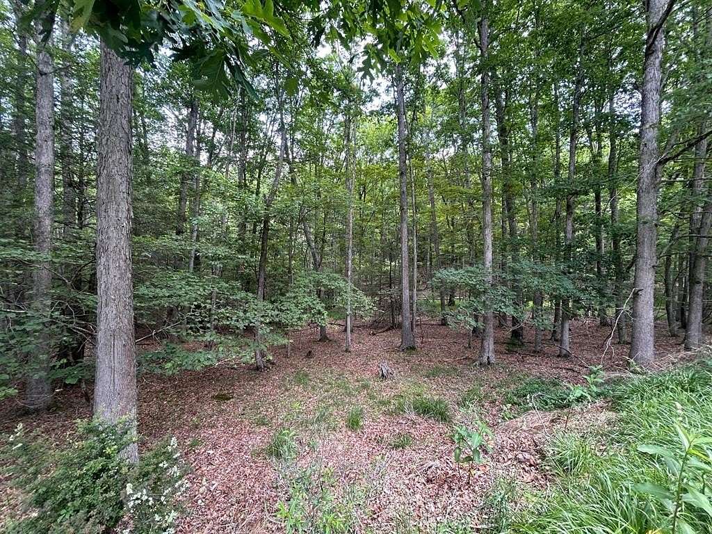 Residential Land for Sale in Daniels, West Virginia
