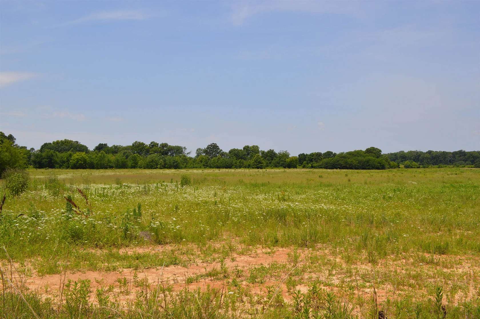 39.5 Acres of Agricultural Land for Sale in Fisher, Arkansas
