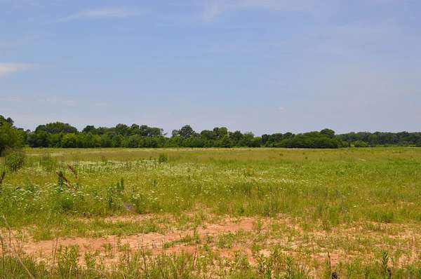 39.5 Acres of Agricultural Land for Sale in Fisher, Arkansas