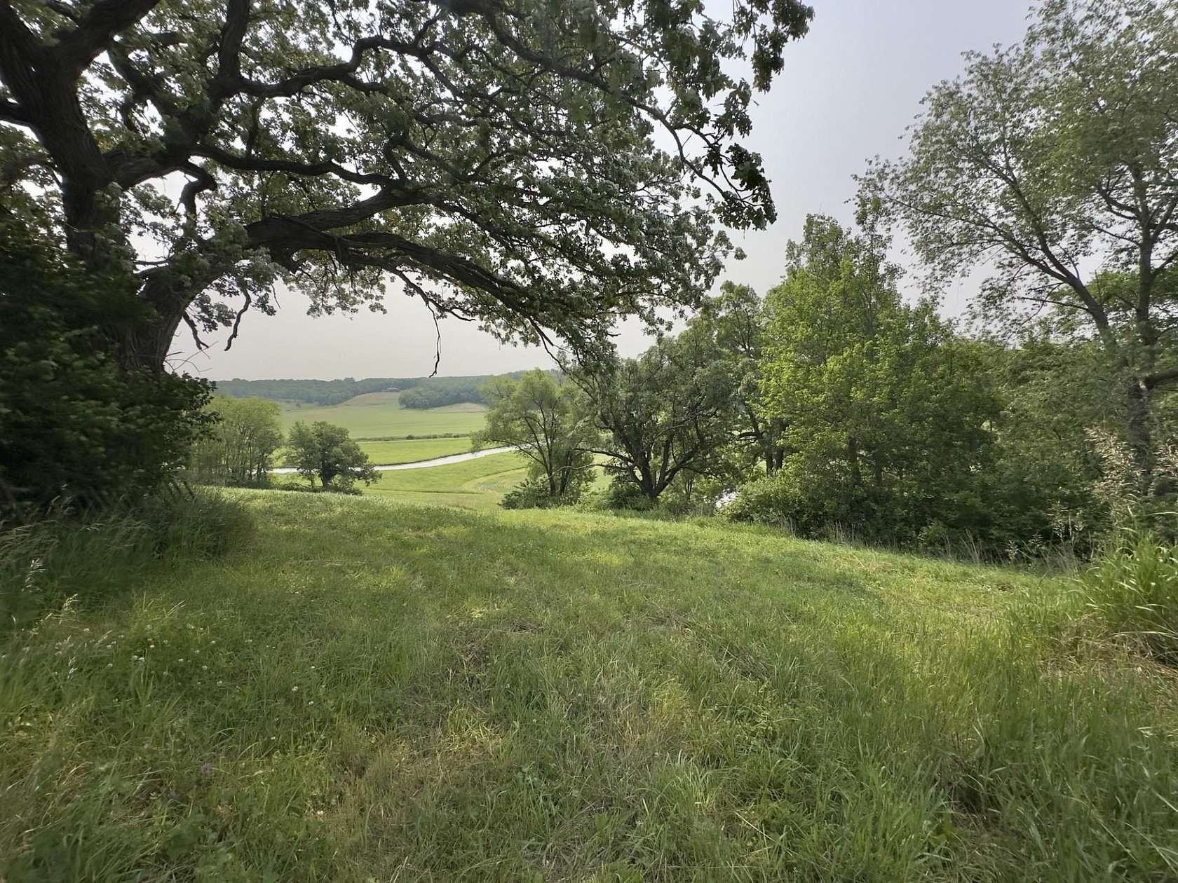 23.3 Acres of Land for Sale in Mount Carroll, Illinois
