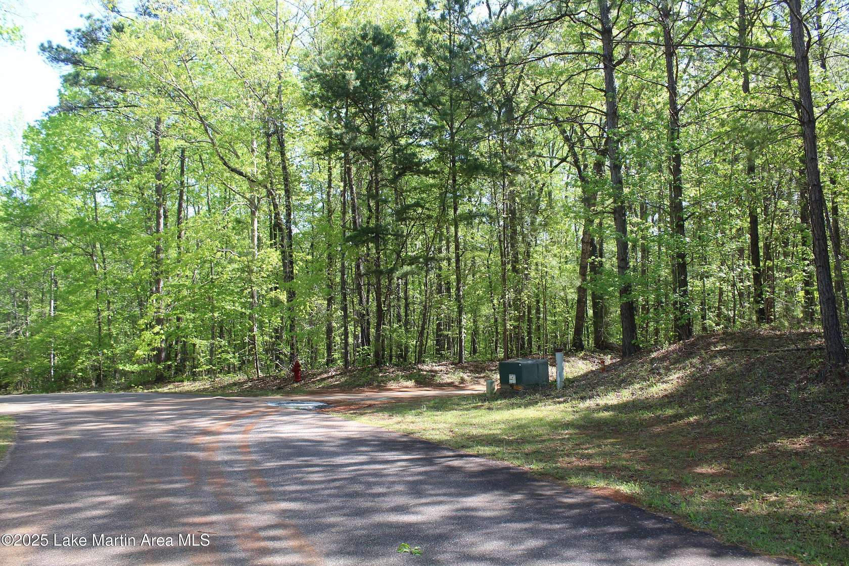 10 Acres of Residential Land for Sale in Dadeville, Alabama