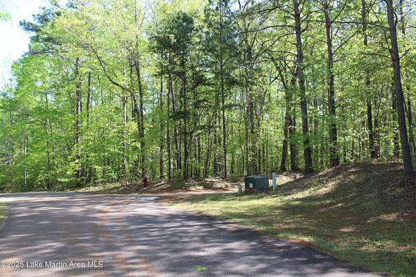 10 Acres of Residential Land for Sale in Dadeville, Alabama