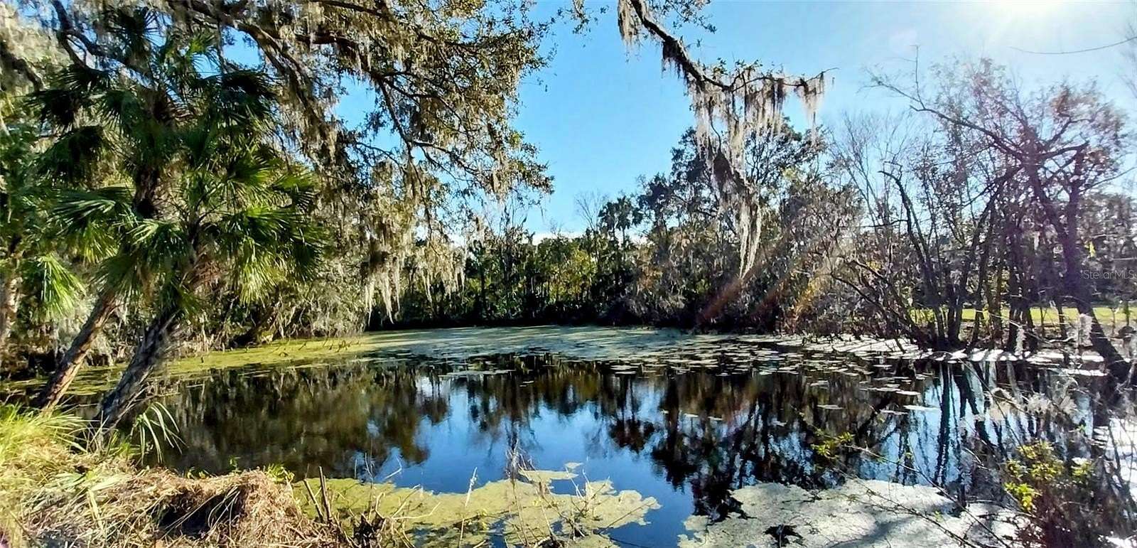 3.77 Acres of Residential Land for Sale in Riverview, Florida