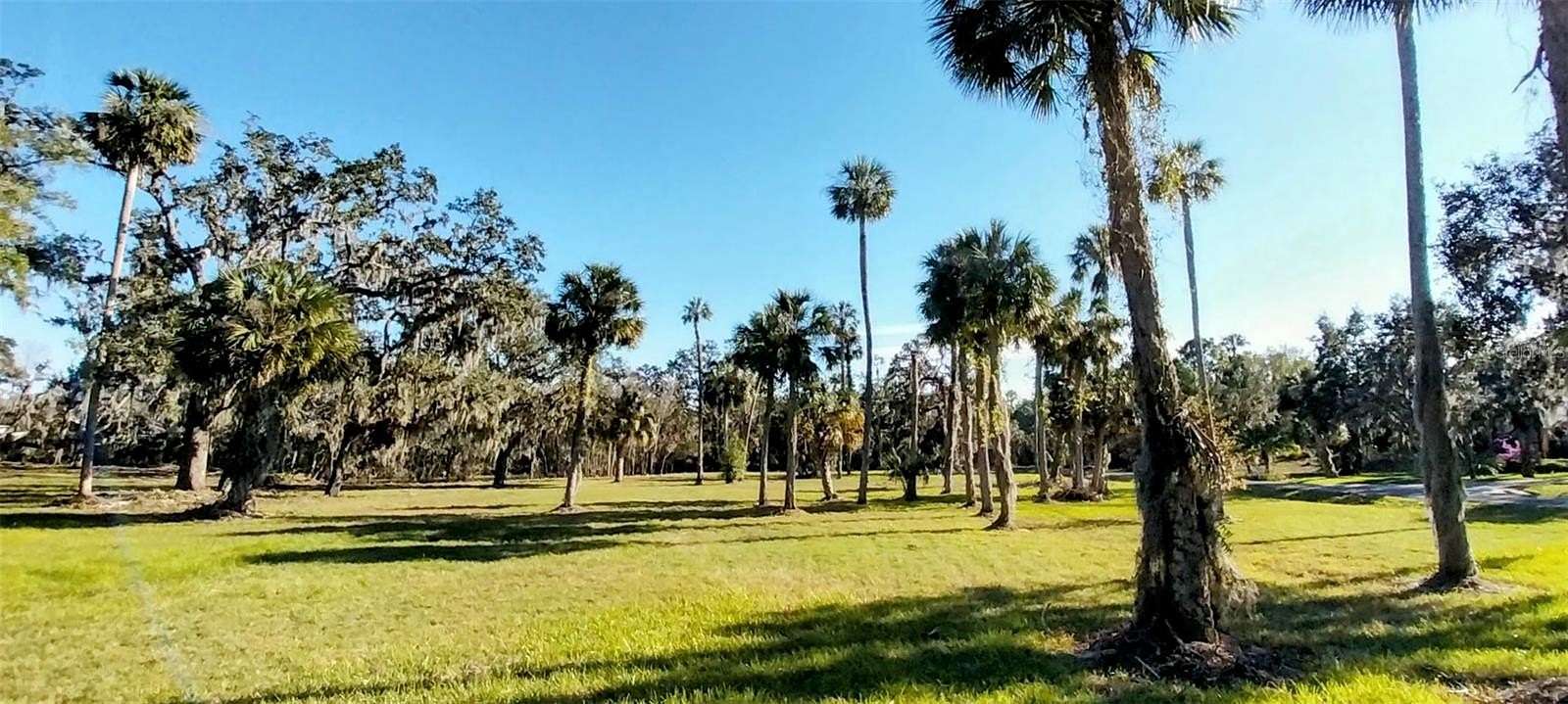 3.77 Acres of Residential Land for Sale in Riverview, Florida