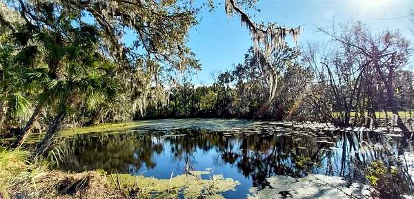 3.77 Acres of Residential Land for Sale in Riverview, Florida