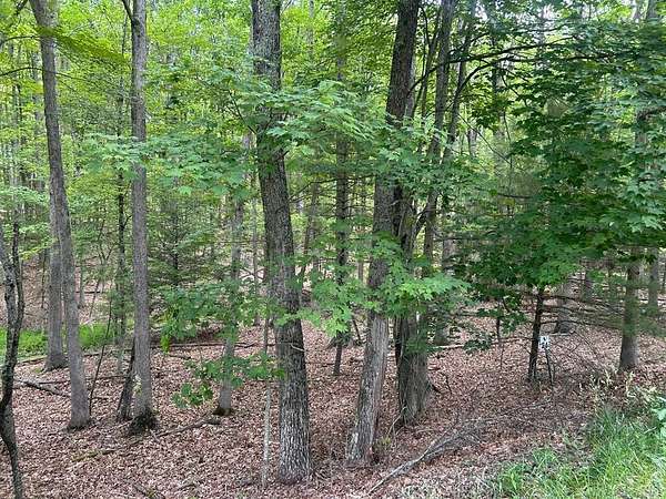 Land for Sale in Daniels, West Virginia