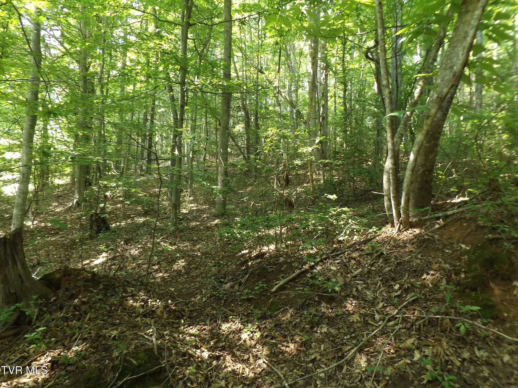 5.69 Acres of Residential Land for Sale in Elizabethton, Tennessee