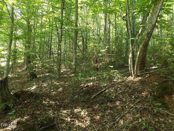 5.69 Acres of Residential Land for Sale in Elizabethton, Tennessee