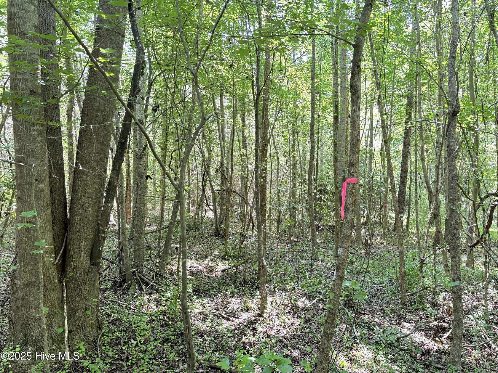 0.69 Acres of Residential Land for Sale in Como, North Carolina