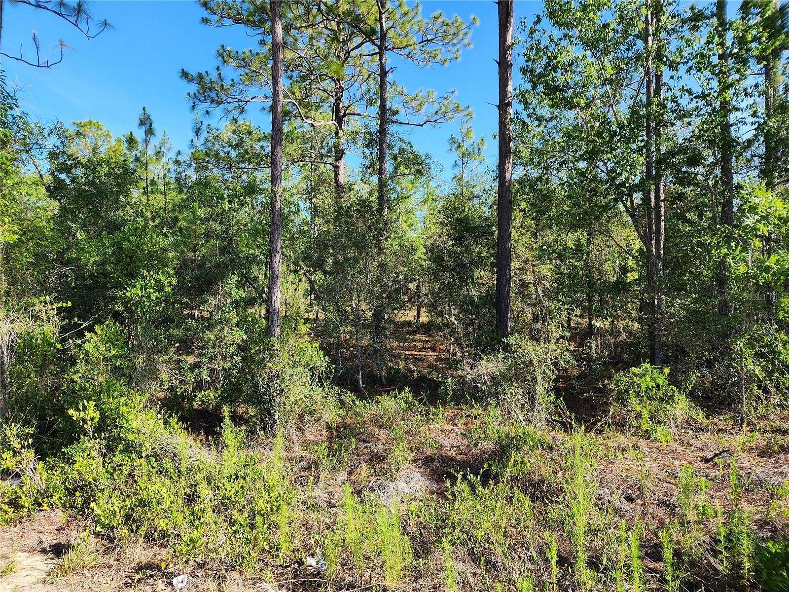 0.99 Acres of Residential Land for Sale in Dunnellon, Florida