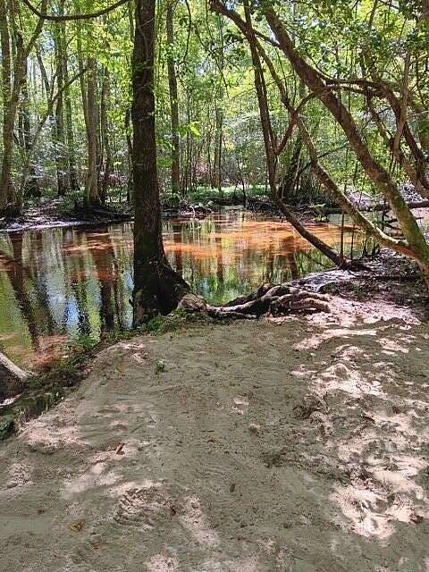 8.8 Acres of Residential Land with Home for Sale in Barnwell, South Carolina