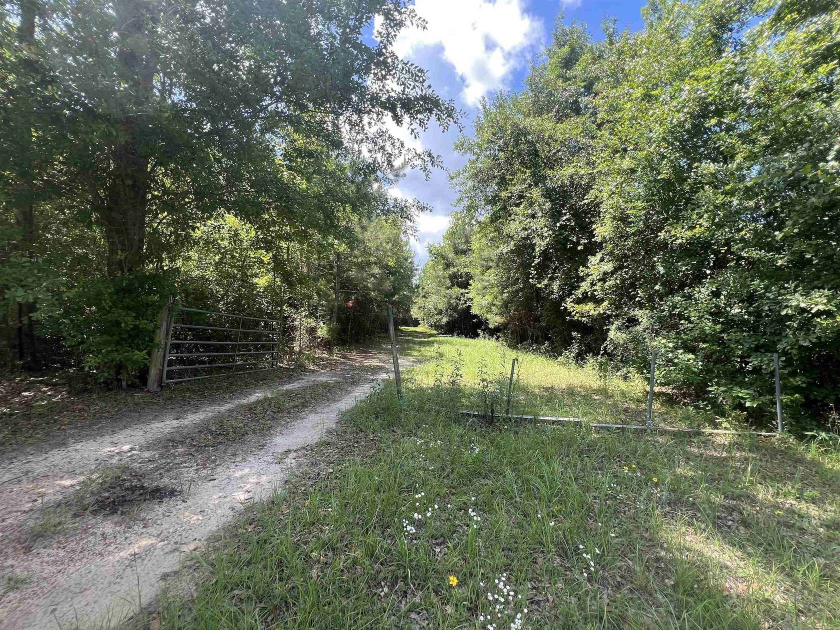 10 Acres of Land for Sale in Gretna, Florida