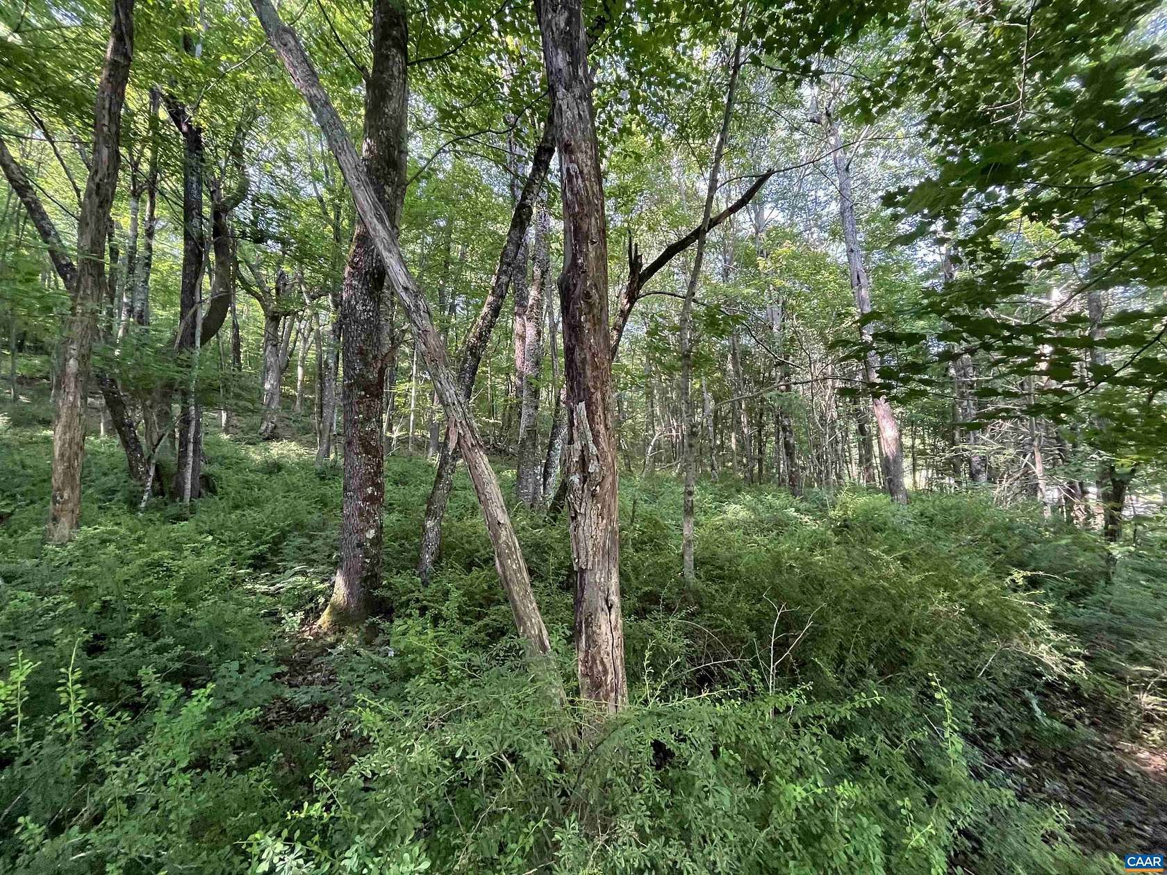 5.23 Acres of Land for Sale in Montebello, Virginia