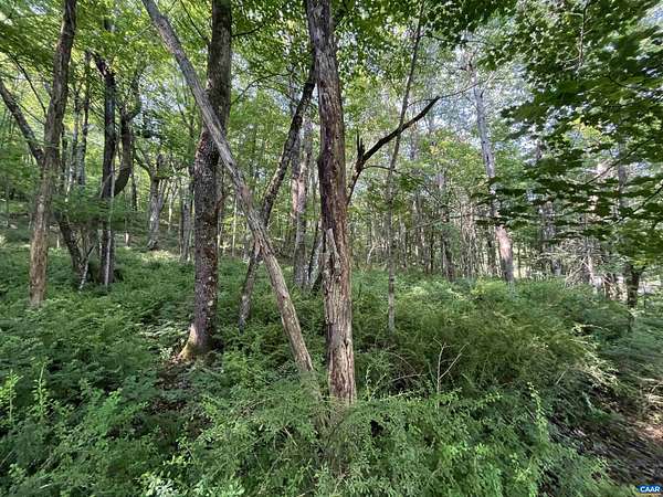 5.23 Acres of Land for Sale in Montebello, Virginia