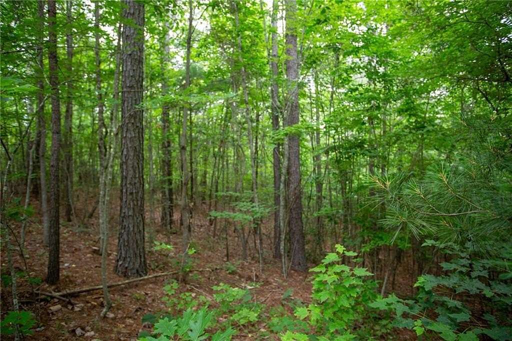 11 Acres of Land for Sale in Dahlonega, Georgia