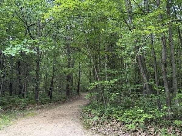 20 Acres of Recreational & Residential Land for Sale in Gladwin, Michigan