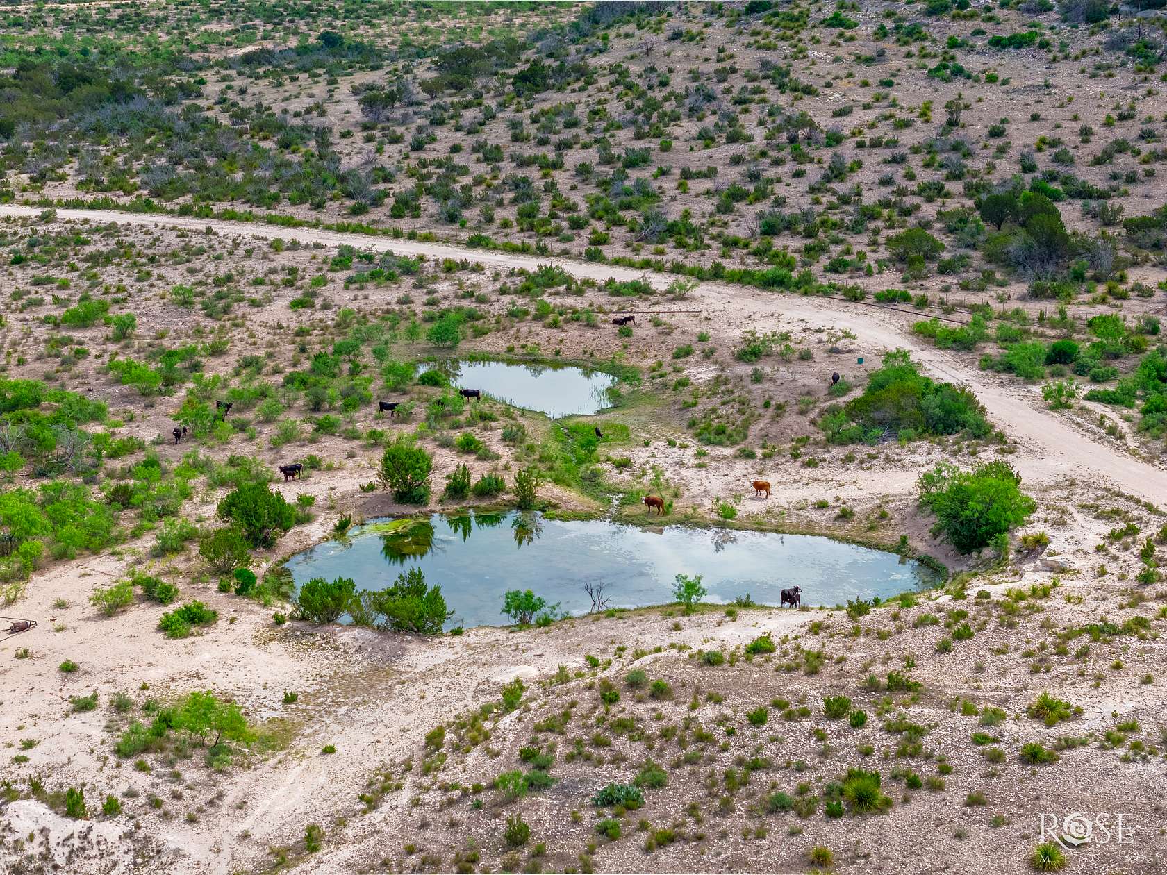 9,484 Acres of Recreational Land & Farm for Sale in Ozona, Texas