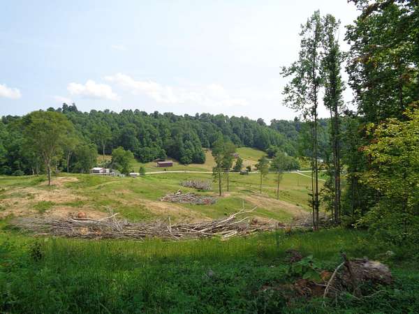 30 Acres of Agricultural Land for Sale in Sneedville, Tennessee
