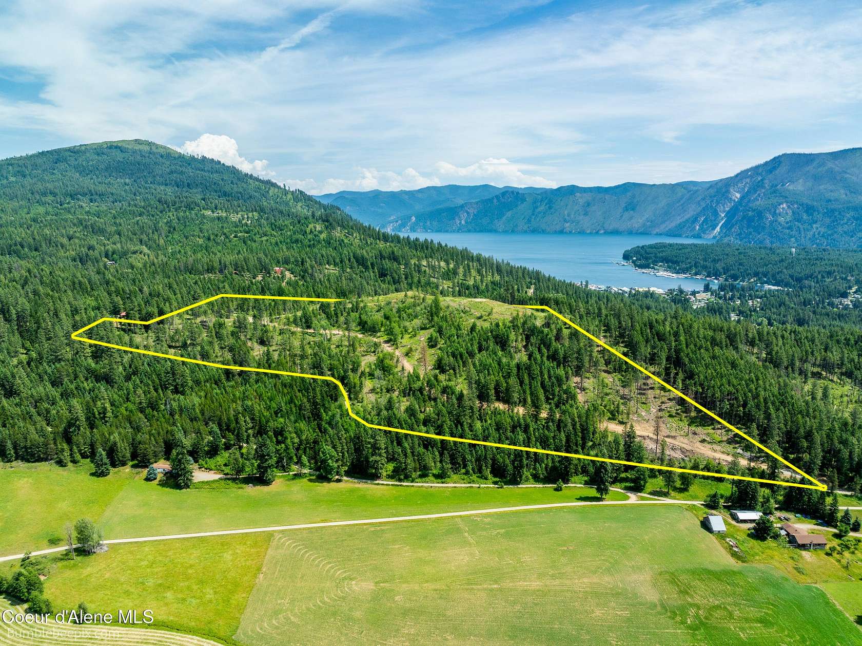 37.5 Acres of Land for Sale in Bayview, Idaho