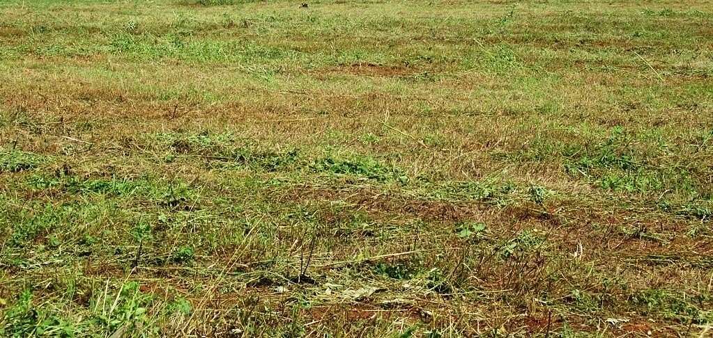 0.93 Acres of Residential Land for Sale in Fort Worth, Texas