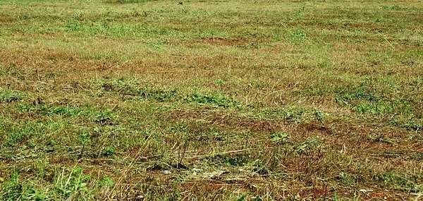 0.93 Acres of Residential Land for Sale in Fort Worth, Texas