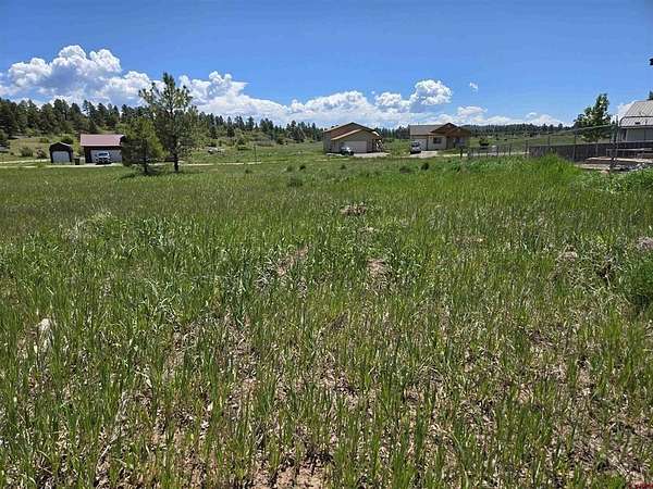 0.1 Acres of Residential Land for Sale in Pagosa Springs, Colorado