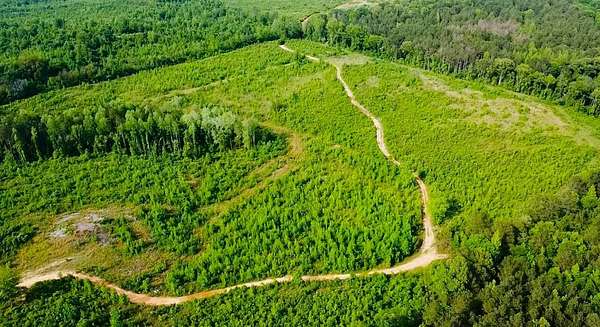136 Acres of Recreational Land with Home for Sale in Fayette, Alabama