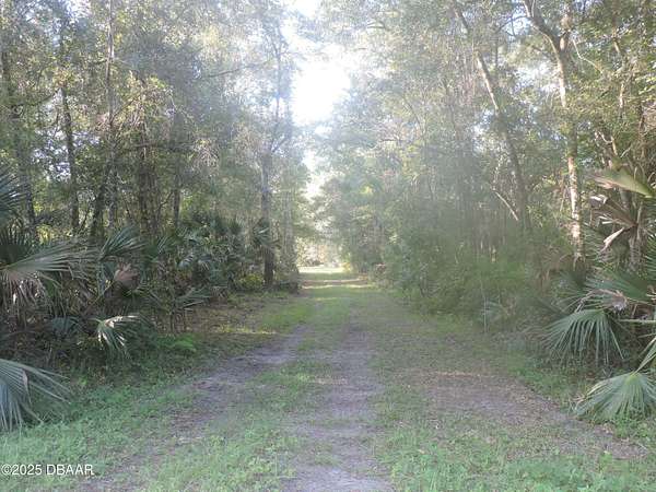 87 Acres of Agricultural Land for Sale in Bunnell, Florida