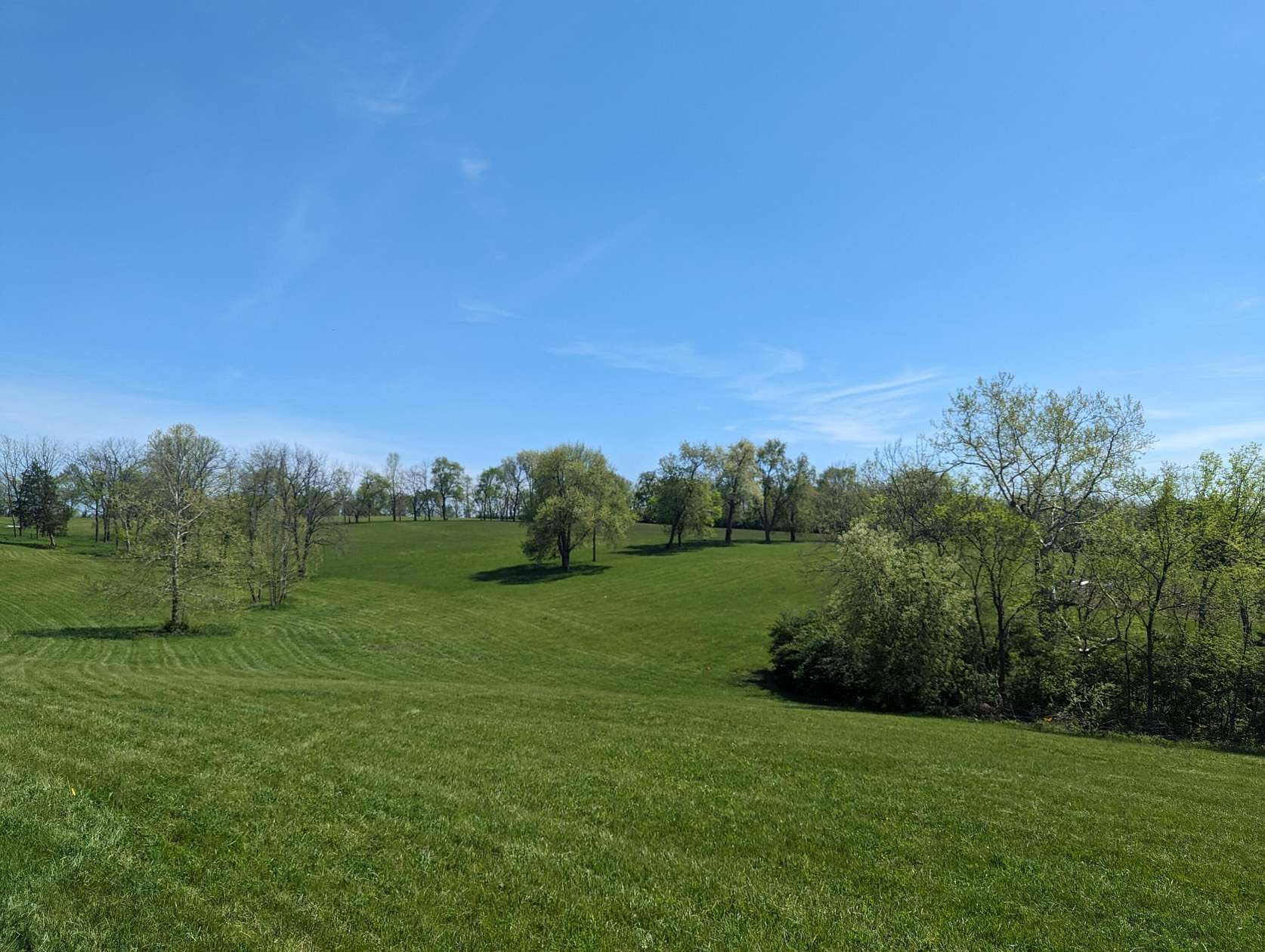 11 Acres of Land for Sale in Midway, Kentucky