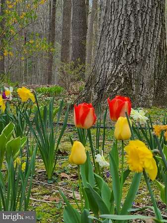 1.88 Acres of Residential Land with Home for Sale in Forest Hill, Maryland