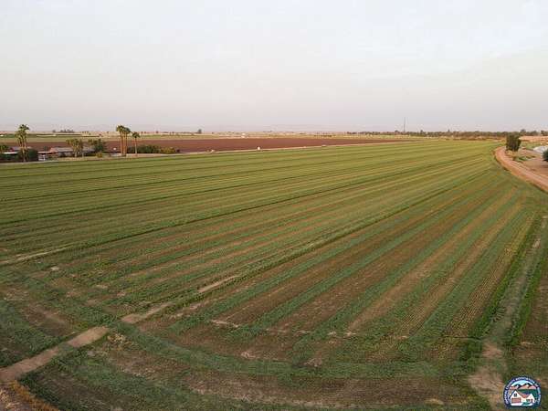 34.4 Acres of Agricultural Land for Sale in Brawley, California