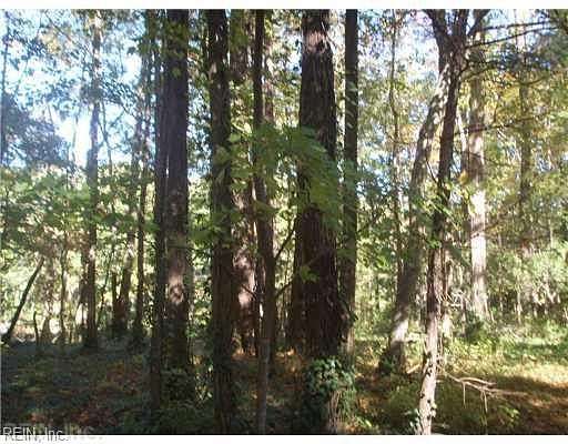 Land for Sale in Virginia Beach, Virginia