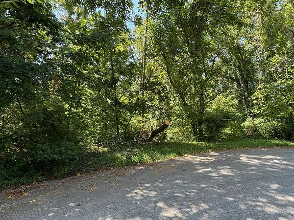 0.53 Acres of Residential Land for Sale in Ozark, Missouri
