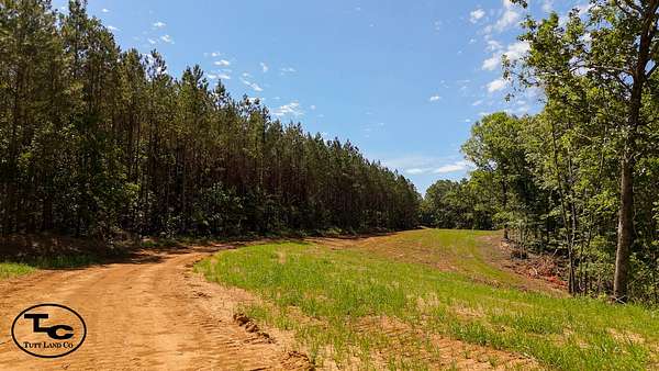 940 Acres of Recreational Land & Farm for Sale in Pocahontas, Tennessee