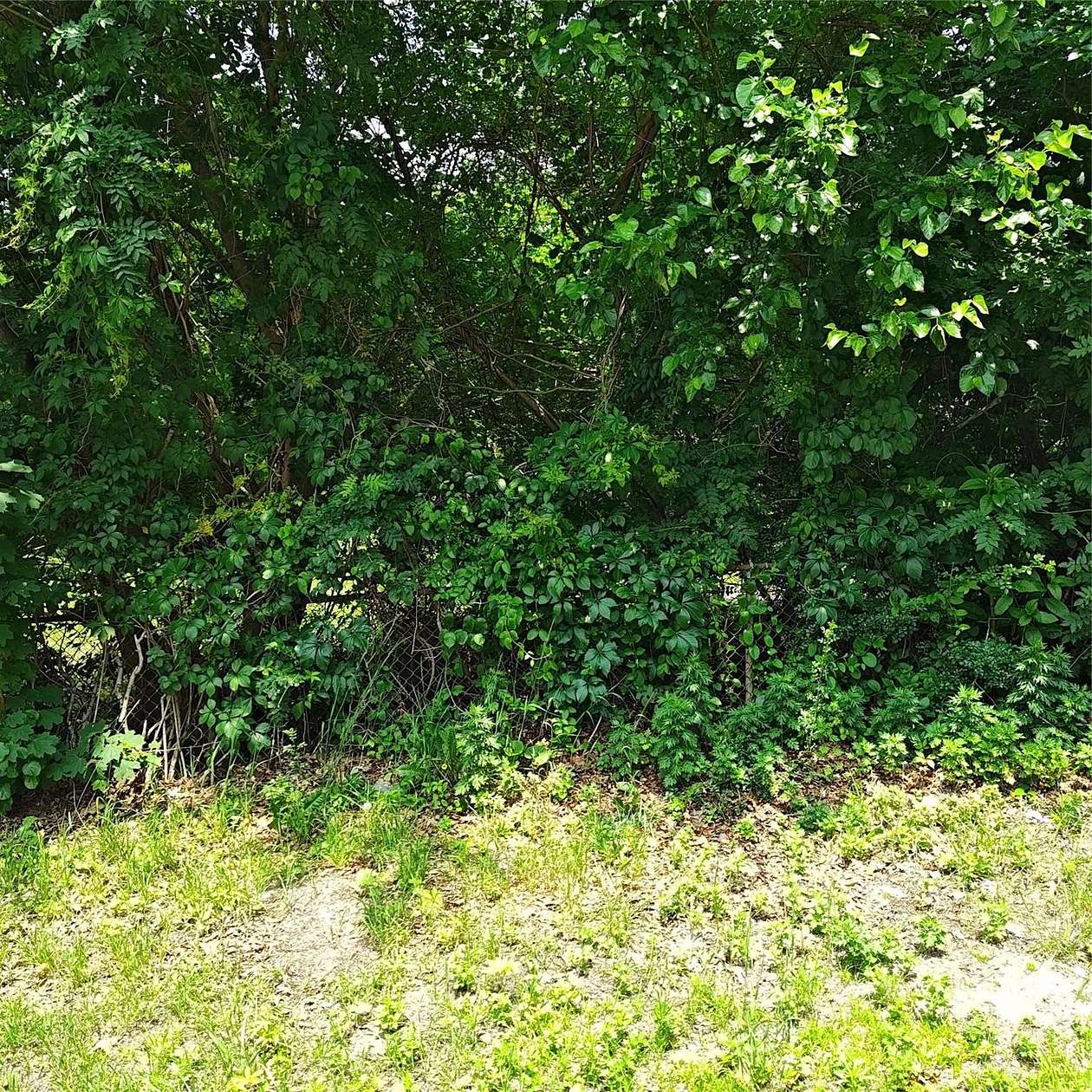 0.44 Acres of Land for Sale in Medford, New York