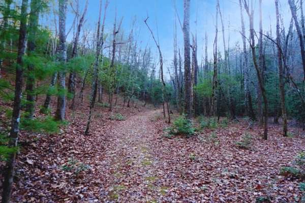 1.35 Acres of Land for Sale in Hayesville, North Carolina