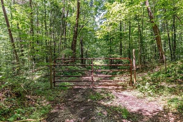 26.2 Acres of Recreational & Residential Land for Sale in Young Harris, Georgia