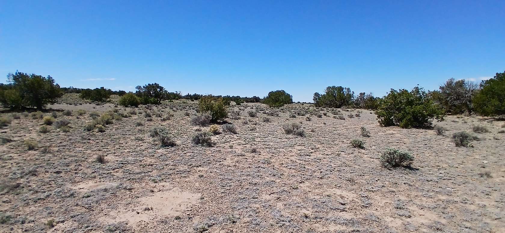 1 Acre of Residential Land for Sale in Sanders, Arizona