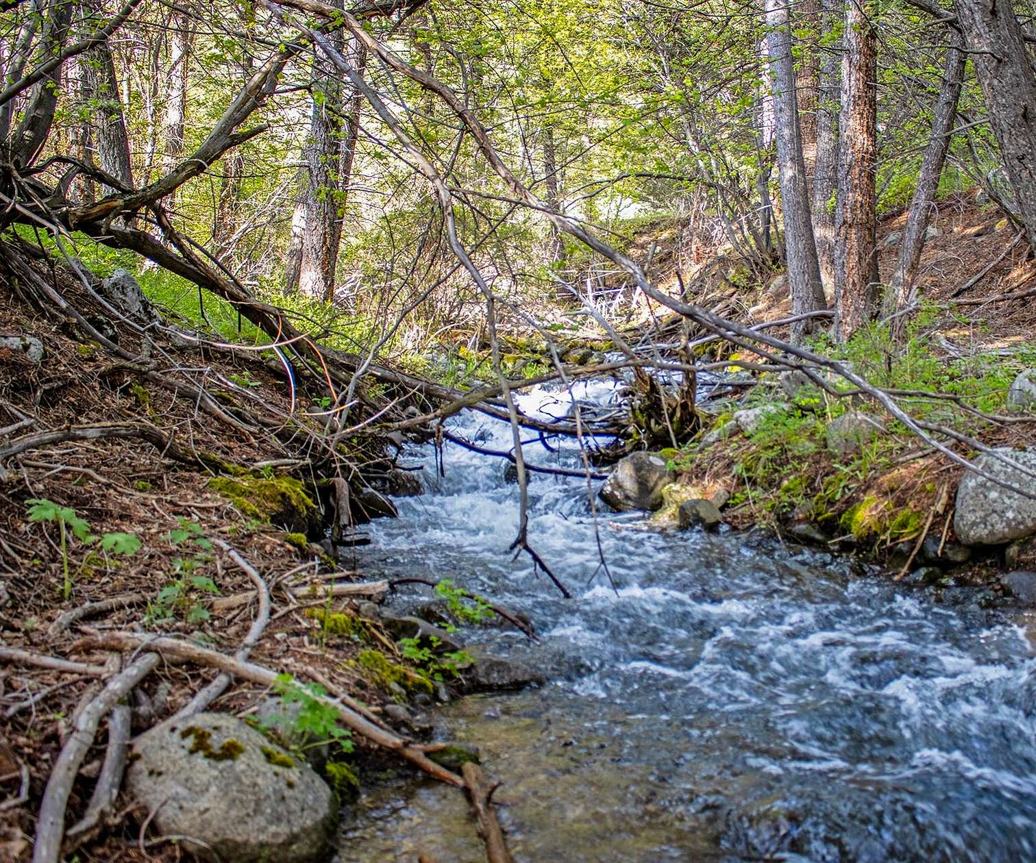 40 Acres of Recreational Land & Farm for Sale in Bozeman, Montana