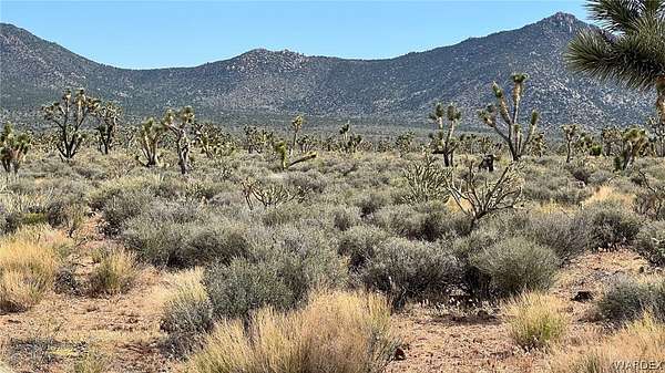 1.25 Acres of Residential Land for Sale in Meadview, Arizona