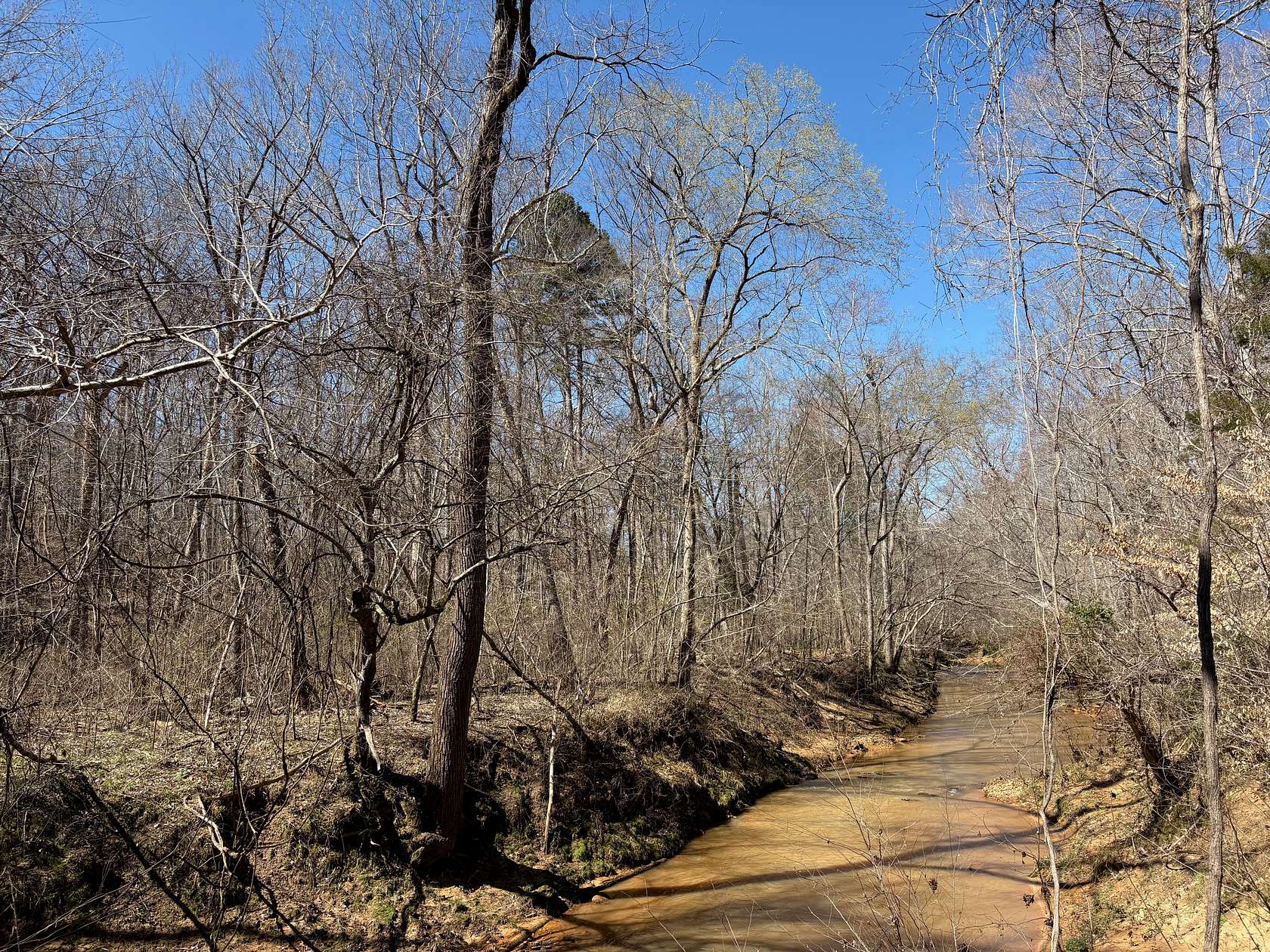 99 Acres of Recreational Land for Sale in Keysville, Virginia