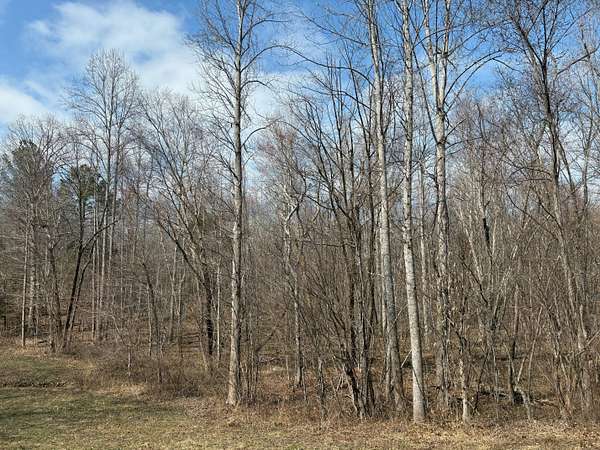 216 Acres of Recreational Land for Sale in Richmond, Virginia