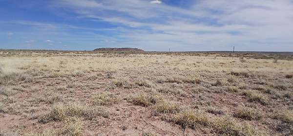 1 Acre of Residential Land for Sale in Sanders, Arizona
