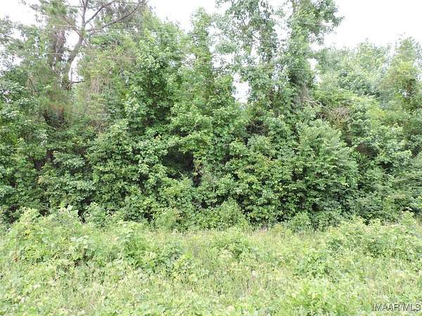 14 Acres of Land for Sale in Greenville, Alabama