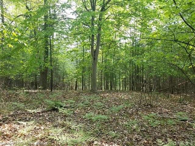 0.69 Acres of Residential Land for Sale in Idlewild, Michigan