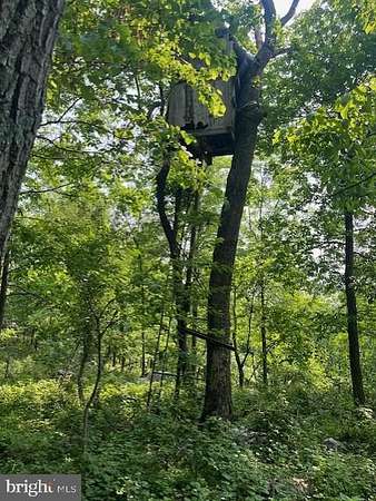 56.5 Acres of Recreational Land for Sale in Knoxville, Maryland