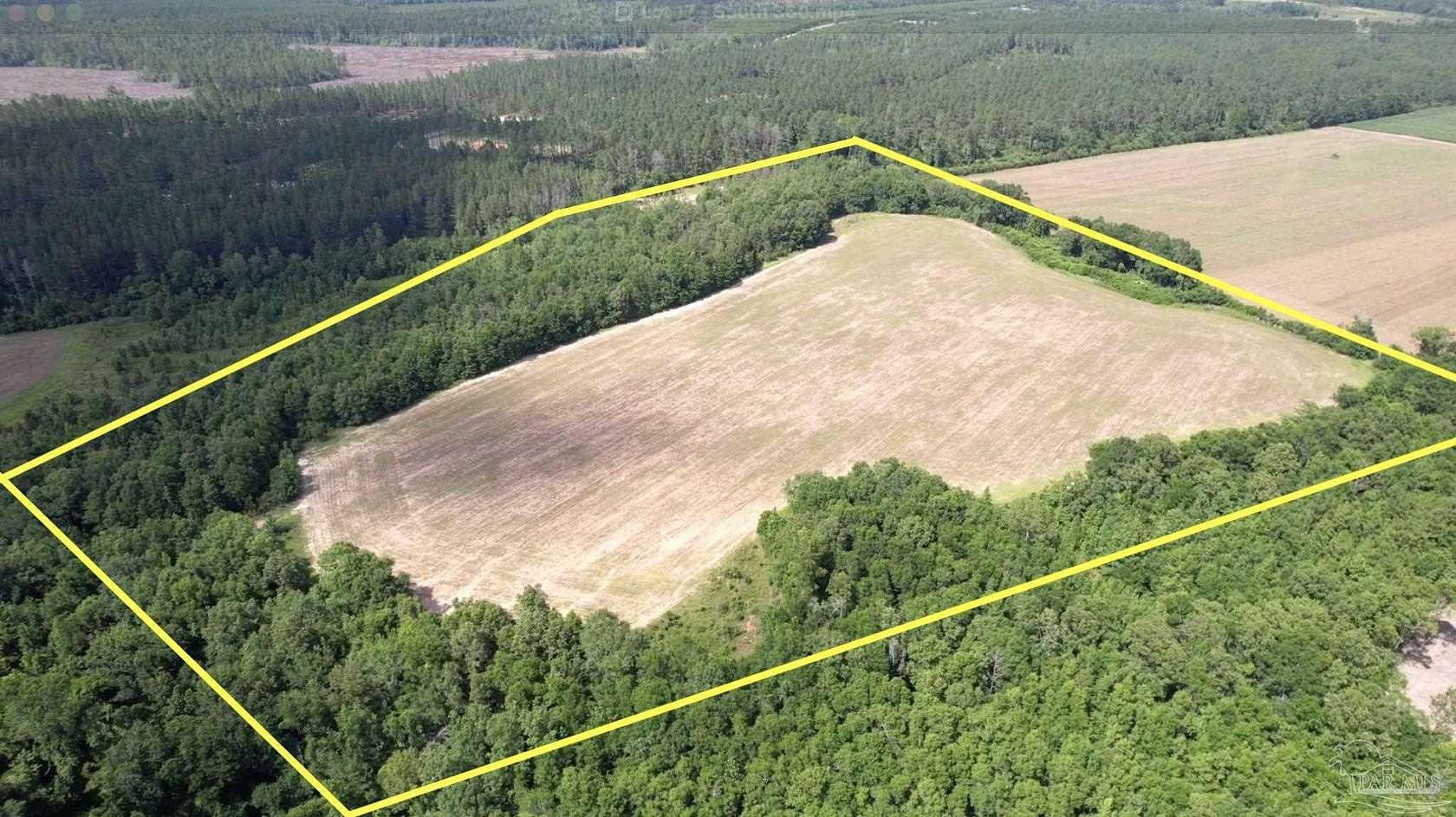 25.8 Acres of Recreational Land for Sale in Jay, Florida