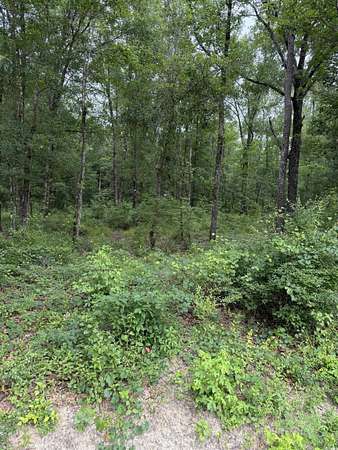 2 Acres of Residential Land for Sale in Gresham, South Carolina